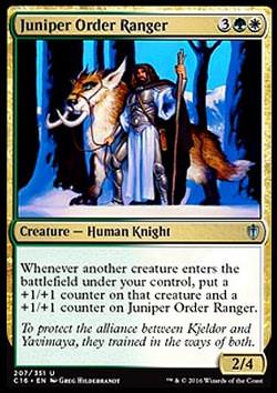 Juniper Order Ranger (Waldläufer vom Juniperorden)
